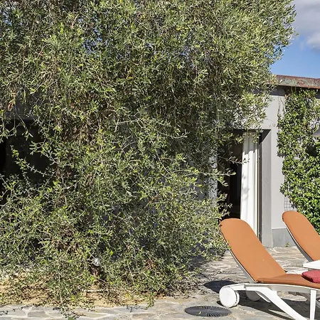 San Massimo With Pool By Wonderful Italy Vila